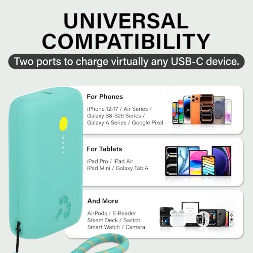 Champ Portable Charger (Teal)