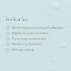 January Labs - Restorative Tonic Mist, Hydro Boost Facial Toner for All Skin Types, Refreshing & Lightweight Antioxidant Face Mist Hydrating Spray, 4 Ounce Bottle
