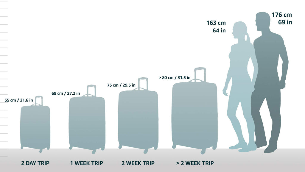 Melbourne Hardside Expandable Spinner Wheel Luggage (Magenta / Carry-On 20")