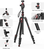 ULANZI TT31 72.4" Camera Tripod, Foldable Tripod & Monopod Aluminum w Claw - Image 8