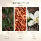 Scentiment Diffuser Oil - Cedar Leather Fall Collection | Aromatherapy Home Fragrance | Luxurious Scent with Lemon, Jasmine Sandalwood, Amber, Lavender, Vanilla, & Musk (20ml)