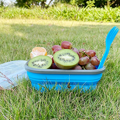 800ml Collapsible Bento Lunch Box (Blue 800ml Bento Box)
