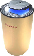Air Oil Diffuser for Home Waterless Essential Oil Diffuser, Rechargeable USB Aromatherapy Scent Diffuser with LED Lights, Home Fragrance Diffuser for Room, Studio, Office, Bedroom-Champagne