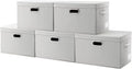 PRANDOM Large Collapsible Storage Containers by Prandom