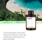Scentify Bali Aroma Oil Refill Scent for Oil Diffusers - Lemon, Green, Amber, Musk, Woody Scents - Luxurious Relaxing Aromatherapy Diffuser Fragrance 100ml, 3.38 oz