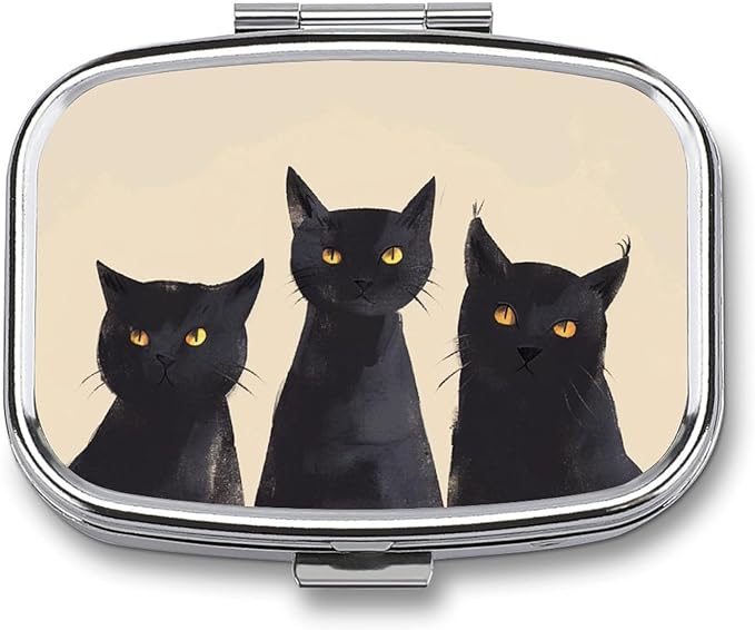 Metal 2 Compartment Pill Organizer Travel Friendly Portable Compact Pill Box by Choosetheproductsyoulike