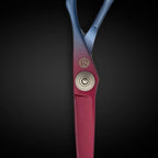 6 Inch Hair Shears Set - Rainbow Color Hair Cutting Scissors and Texturizing Shears - 440C Stainless Steel With Titanium Coating - Convex Blades for Wet or Dry Hair (Hair Cutting Shears)