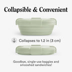 STOJO Collapsible Sandwich Box – 24oz, Reusable Food Storage Container - Image 2
