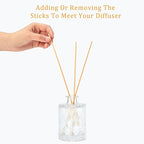 Chloefu Lan Rose Reéd Diffuser Set 6.7oz (200ml) with 9 Sticks, Oud Scent Diffusers for Home, Pink Flowers Reéd Diffuser Sticks, Scentsy Home Fragrance, Scented Oils, Office & Bathroom Décor