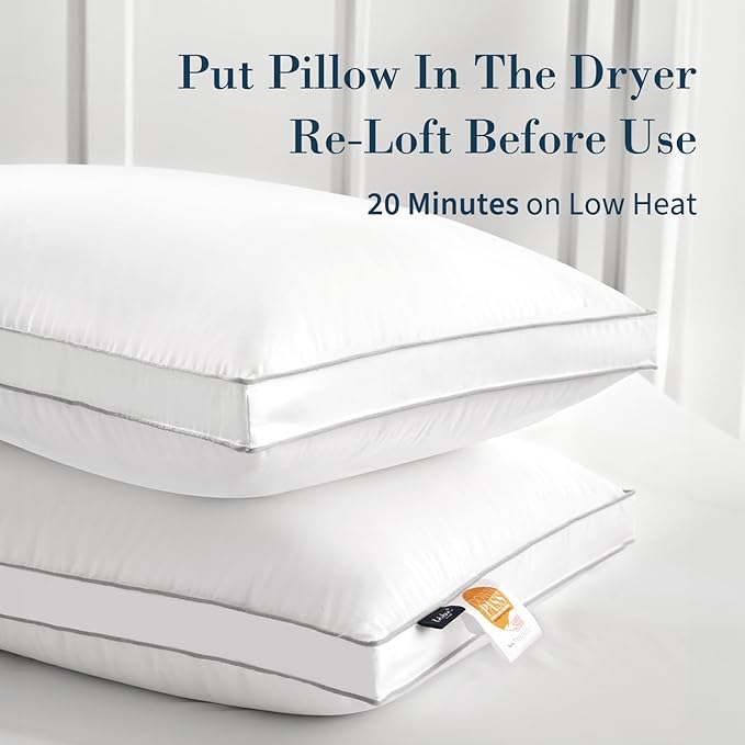 Globon Luxury Feather Down Pillow Standard Queen Size - Image 2