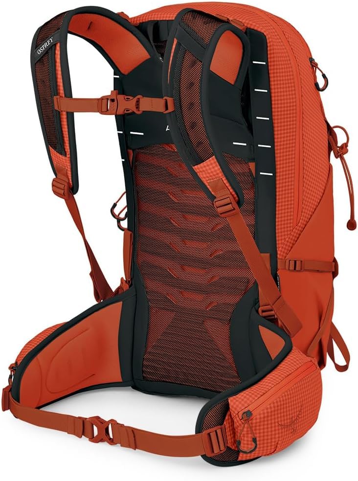 Talon Pro 20L Men's Hiking Backpack with Hipbelt (One Size / Mars Orange)