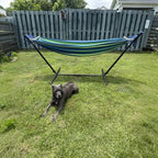 Double Hammock with Stand Included 450lb Capacity Steel Stand (Green)