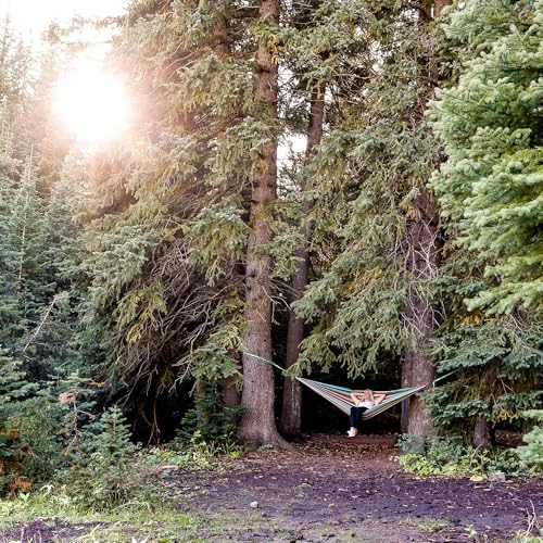 TrunkTech Single Hammock (Green/Aqua)
