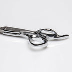 Fromm Professional Explore 5.75" 28 Tooth Thinning Shears Wet and Dry Hair, Polished Silver Japanese Steel Scissors with Smooth Straight Blade and Microserrated Thinning Teeth