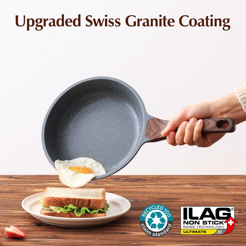 10inch Nonstick Frying Pan Chef's Pan with Glass Lid (Gray Granite / 10 Inch)