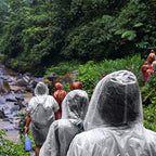 Disposable Rain Ponchos for Adults (One Size / Clear 10 Pack)