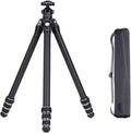 FALCAM TreeRoot F38 Quick Lock Lite Carbon Fiber Travel Tripod by Kongeeker