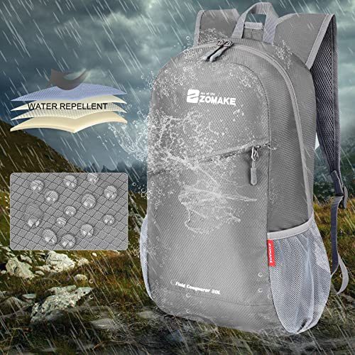 Lightweight Packable Backpack 20L (20 L / Silver Grey)