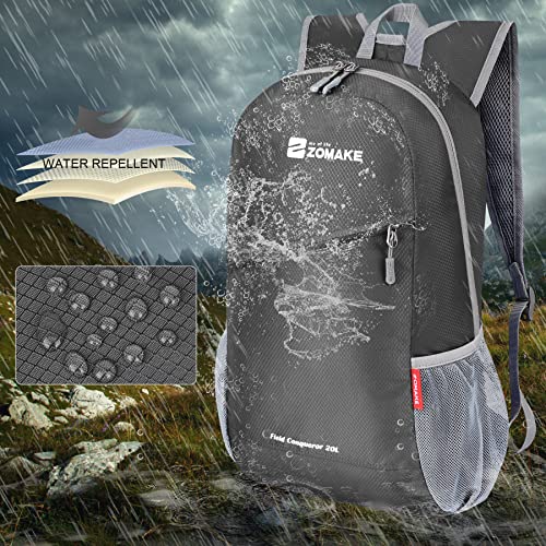 Lightweight Packable Backpack 20L (20 L / Medium Grey)