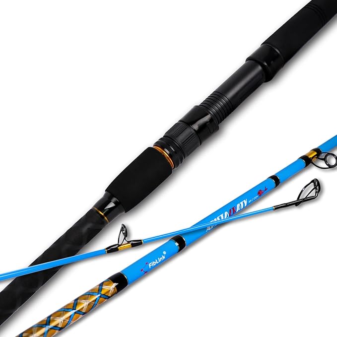 Fiblink Surf 2-Piece/3-Piece/4-Piece Fishing Rod Spinning/Casting Carbon Fiber by Fiblink