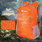 Lightweight Packable Backpack 20L (20 L / Orange)