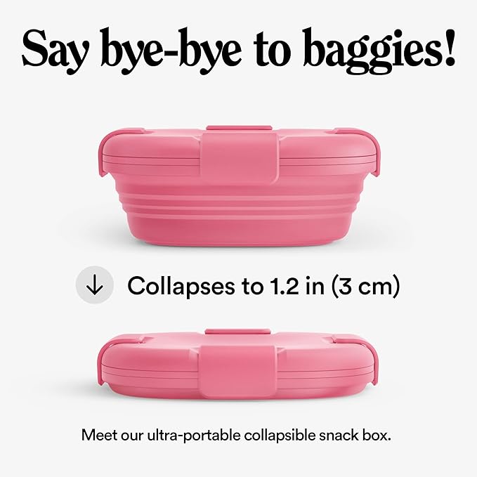 STOJO Collapsible Sandwich Box – 24oz, Reusable Food Storage Container - Image 2