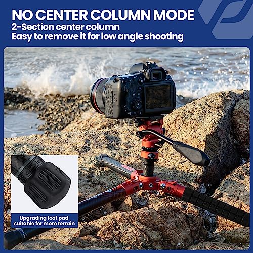 62" Video Camera Tripod with Fluid Head for Smooth Panning (X-Aircross 3 Video Orange)