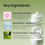 Dual Core Deep Collagen Cream, Niacinamide, Ceramide & Hydrolyzed Collagen for Glowing & Lifted Skin, Hydrating & Firming Moisturizer, Korean Skin Care (1.01 Fl Oz / 30ml)