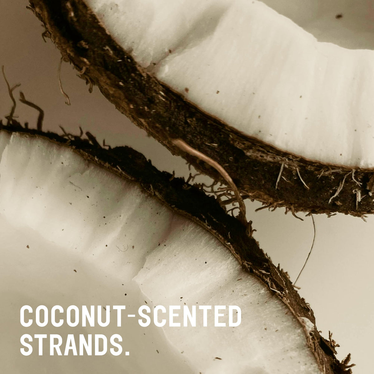 Classic Clean Toasted Coconut Shampoo Conditioner Set (20 Fl Oz (Pack of 2))