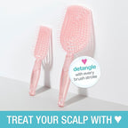 Conair Scalp Care Detangling hairbrush 2pk - Travel Hair Brush Set - Scalp Massager - hairbrushes for women & men - detangler for all lengths - use wet or dry - Blush Pink