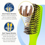 Giorgio GIO1 Gentle Hair Brush Dresser Size. Wet & Dry Pro Hair Brush Detangler. Soft for Sensitive Scalp. Good For Men Women & Kids All hair lengths. Durable and Anti-Static. (Set, Green)