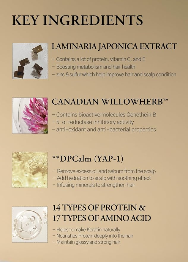 laferme Laminaria Shampoo with Organic Ingredient, Korean Clarifying Shampoo - Image 5