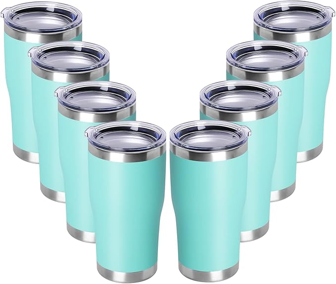 DOMICARE 20oz Tumbler with Lid Stainless Steel Tumblers Bulk, Double Wall by VisittheDOMICARE