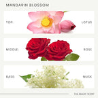 The Magic Scent Mandarin Blossom Diffuser Oil - Hotel & Home Luxury Scents Inspired by Maldives - Diffuser Oil Scents for Home Designed for Use in All Diffusers - 16.9 fl oz, 500 mL