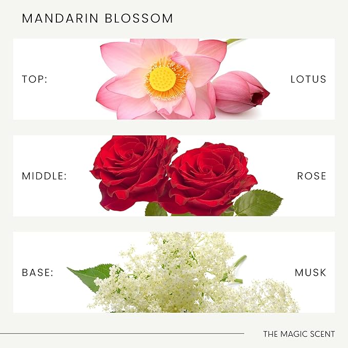 The Magic Scent Mandarin Blossom Diffuser Oil - Hotel & Home Luxury Scents Inspired by Maldives - Diffuser Oil Scents for Home Designed for Use in All Diffusers - 16.9 fl oz, 500 mL