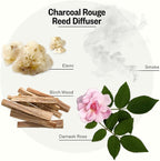 Apotheke Luxury Scented Reed Diffuser for Home, Charcoal Rouge - 6.7 Fl Oz Essential Oil Aromatherapy - 10 Rattan Scent Sticks Room Diffuser - Long-Lasting Fragrance for Bedroom, Home, Bathroom