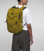 The North Face Jester Everyday Laptop Backpack, Sulphur Moss/TNF Black - Image 6