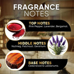 Luxury Hotel Diffuser Oil for Hotels and Homes - Aromatherapy Oils for use with an Essential Oil Diffuser at Home - Fragrance-Scent Diffuser Oil Blend (Wild Ambition) 4.05fl oz (120ml)