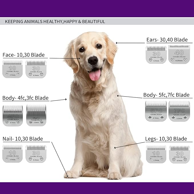 10 Pack Detachable Pet Dog Grooming Clipper Ceramic Blade Sets,Compatible with Andis Size 10 Cut Length 1/16"(1.5mm),Compatible with andis/Oster A5/Wahl 10KM Series Clippers
