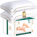 Royal Therapy Queen Memory Foam Pillows 2-Pack by ROYALTHERAPY
