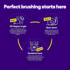 Burst Original Sonic Electric Toothbrush - Image 6
