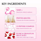 EQQUALBERRY NAD+ Peptide Boosting Cream – Collagen-Enhancing Moisturizer for Skin Elasticity, Healthy Aging&Wrinkle Care – Korean Skincare Anti-Aging Face Cream with Peptides (1.69 fl.oz / 50ml)