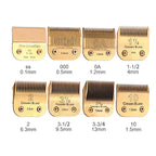 5 Pack Professional Detachable Replacement Blades Set,Compatible with Andis AGC,BDC,BGC,MBG Series/Oster Classic 76/Star-Teq/Power-Teq/A5 Clipper Cut Length（1/16-1/8inch) Golden