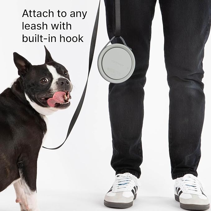 Nomad Small Collapsible Dog Bowl - Image 6