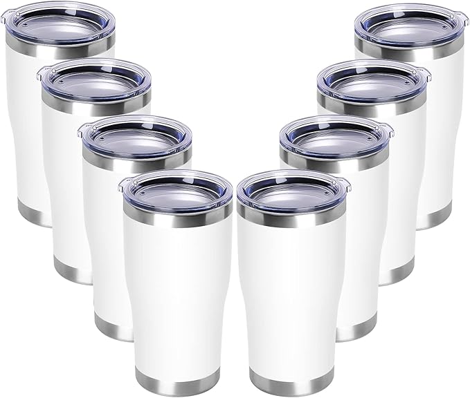 DOMICARE 20oz Tumbler with Lid Stainless Steel Tumblers Bulk, Double Wall by VisittheDOMICARE