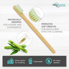 12 Pack Disposable Bamboo Toothbrushes - Image 3