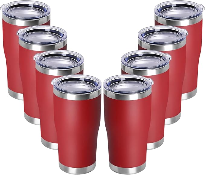 DOMICARE 20oz Tumbler with Lid Stainless Steel Tumblers Bulk, Double Wall by VisittheDOMICARE
