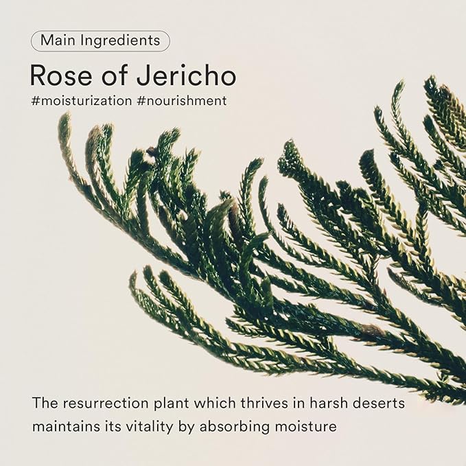 Abib Jericho Rose Bifida Serum Firming Drop 1.69 fl.oz. | Collagen, Peptide, Bakuchiol | Deep Hydration Serum for Dry Skin, Barrier Strength & Skin Bounce | Korean Skincare