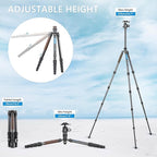 Carbon Fiber Lightweight Travel Tripod - Image 2