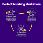 Burst Original Sonic Electric Toothbrush - Image 6
